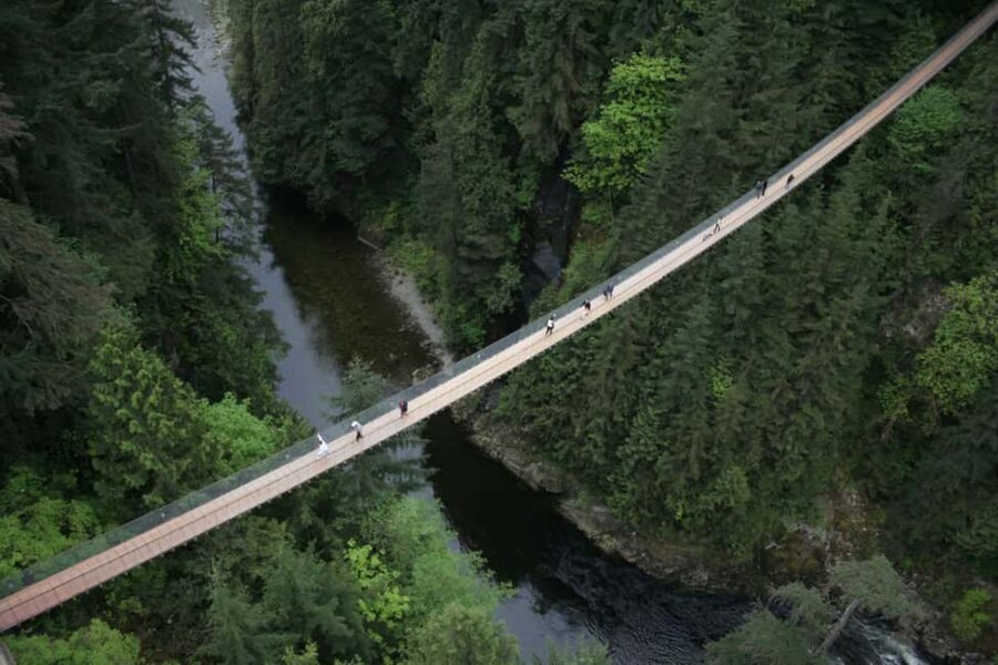 Vancouver Highlights: Capilano Bridge & Granville Island - A half-day Vancouver plan that actually fits your time