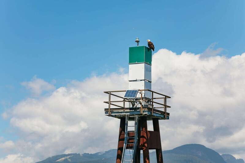 Vancouver: Indian Arm and Granite Falls Zodiac Boat Tour - Price and value: $116 for three hours of real scenery