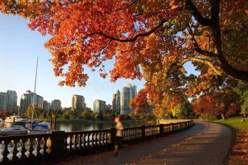 Vancouver : Must-See Attractions Walking Tour With A Guide - Canada Place Waterfront Photos: A Downtown Finish With Real Vistas