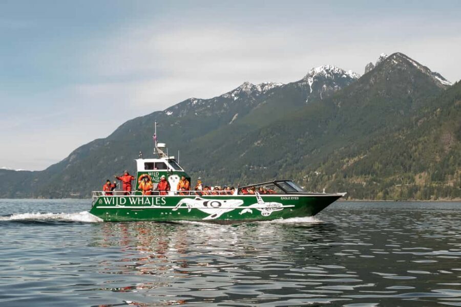 Vancouver: Open-air Whale Watching Tour, Granville Island - Eagle Eyes catamaran off Granville Island: why the setup matters