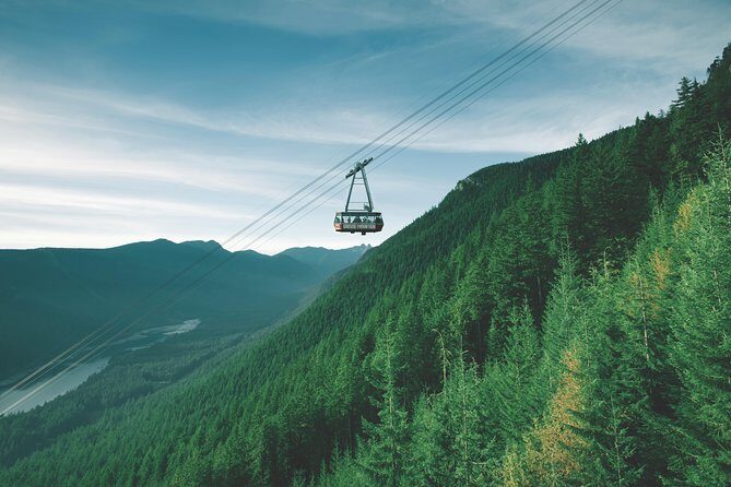 Vancouver Premium Tour: Capilano Bridge + Grouse Mountain Lunch - A Vancouver day built for seeing more, without racing