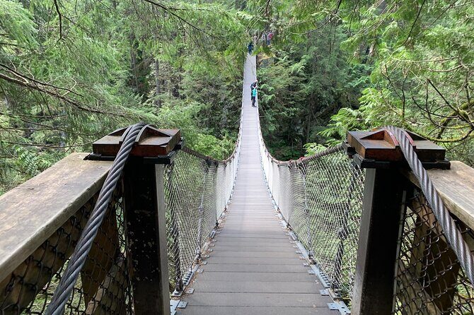Vancouver Rainforest Hike with Waterfalls, Suspension Bridge, Old Growth Forest - Stop 2: Lynn Canyon Park, Twin Falls, and old-growth walking