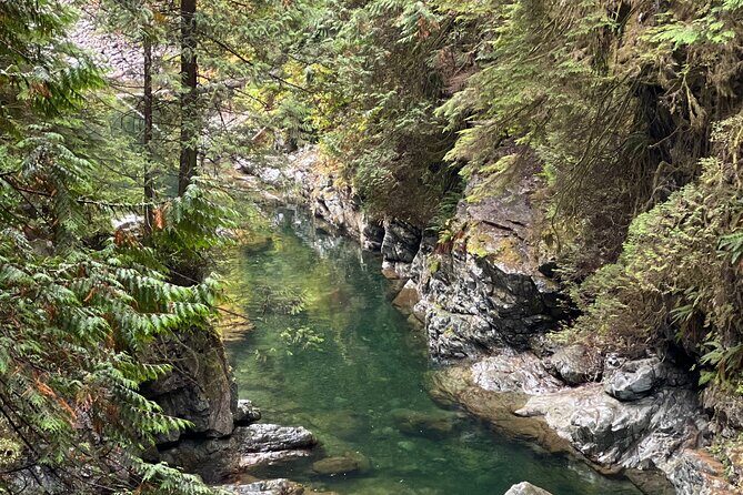 Vancouver Rainforest Hike with Waterfalls, Suspension Bridge, Old Growth Forest - Price and value: is $58.56 worth it?