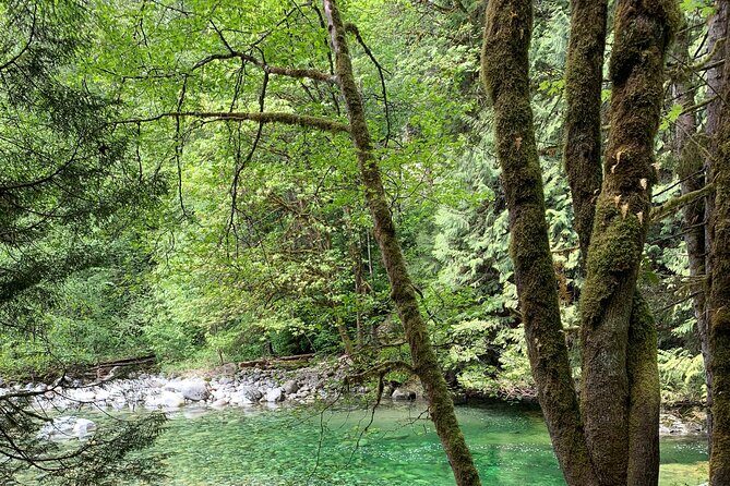 Vancouver Rainforest Hike with Waterfalls, Suspension Bridge, Old Growth Forest - Timing, meeting point, and how to plan your morning