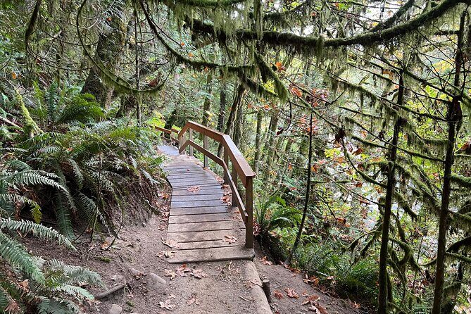Vancouver Rainforest Hike with Waterfalls, Suspension Bridge, Old Growth Forest - What to pack (so the stairs don’t beat you)