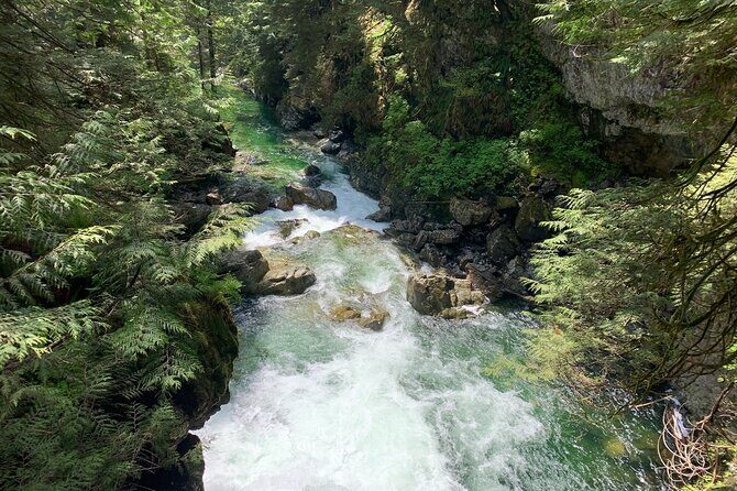 Vancouver Rainforest Hike with Waterfalls, Suspension Bridge, Old Growth Forest - Stop 1: Lynn Canyon Suspension Bridge, waterfalls, and that creek noise