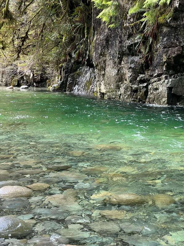 Vancouver: Rainforest Waterfall Hike and Suspension Bridge - Key highlights you’ll actually care about