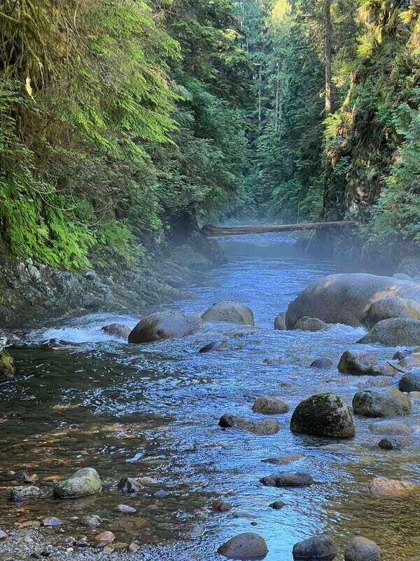 Vancouver: Rainforest Waterfall Hike and Suspension Bridge - Suspension bridge crossing: the safe thrill payoff