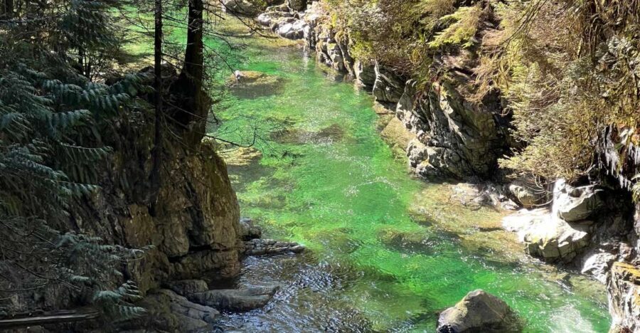 Vancouver: Rainforest Waterfall Hike and Suspension Bridge - What to pack and who should book this
