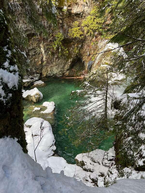 Vancouver: Rainforest Waterfall Hike and Suspension Bridge - Price and what you get for $62