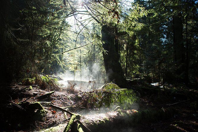 Vancouver Secrets of Stanley Park Walking Tour - Vancouver Seawall: iconic views with the story behind the path