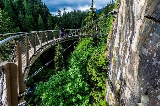 Vancouver Sightseeing and Suspension Bridge Small Group Tour - Key reasons this Vancouver + Capilano tour works