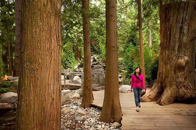 Vancouver Sightseeing and Suspension Bridge Small Group Tour - Chinatown and Gastown: quick culture hits without the heavy planning