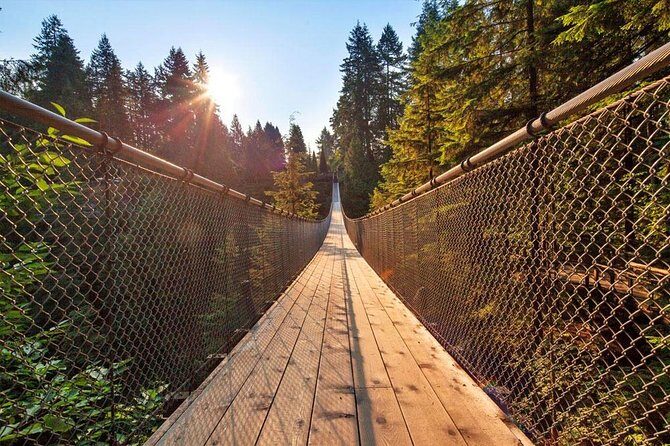 Vancouver Sightseeing and Suspension Bridge Small Group Tour - Cliffwalk at Capilano for thrill seekers with steady nerves