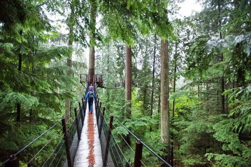Vancouver: Small Group Tour w/Capilano & Grouse Mtn Lunch - FAQ