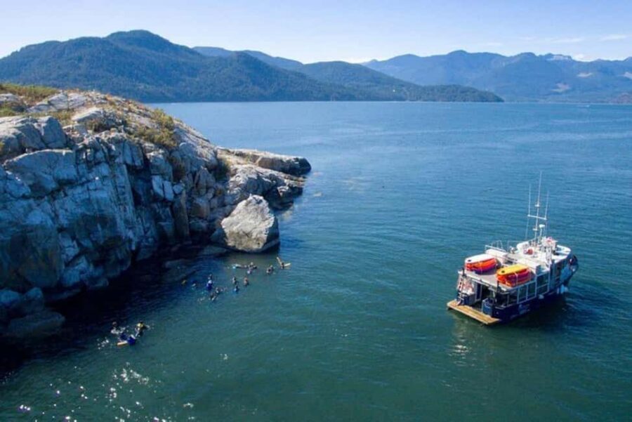 Vancouver: Snorkel, Kayak, and Seal Adventure Boat Tour - Should you book Sea Dragon Charters’ Seal Adventure tour?