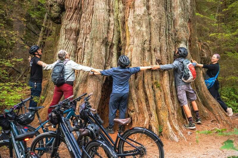 Vancouver: Stanley Park Bicycle Tour - Why a Guided Stanley Park Ride Works Better Than Solo Cycling