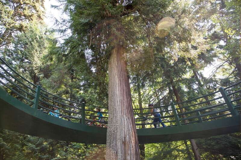 Vancouver: Stanley Park Bicycle Tour - From Downtown Vancouver to the West End and English Bay