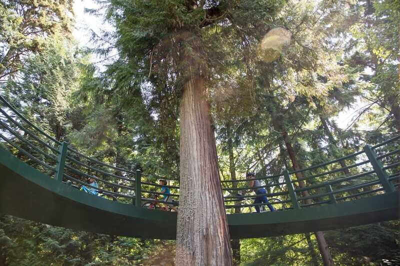 Vancouver: Stanley Park Bicycle Tour - Bikes, E-Bike Upgrades, and Who This Tour Fits Best