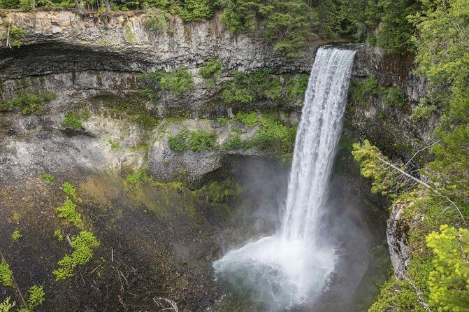 Vancouver to Whistler Private Tour - Shannon Falls Provincial Park: a short trek to a tall moment