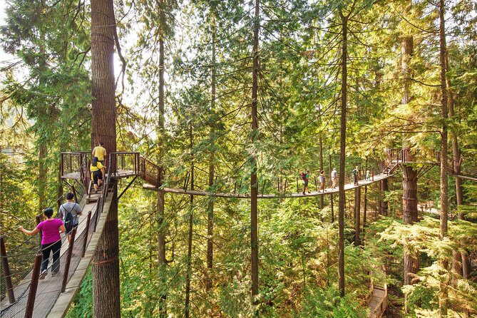 Vancouver Tour: Stanley Park, Granville Island & Capilano Bridge - Capilano Suspension Bridge Park: Cliffwalk, optional treetop routes, and real timing