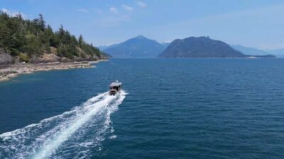 Vancouver UNESCO Biosphere Reserve Wildlife Scenic Boat Tour - Two hours on the water: timing, meet-up, and what to expect