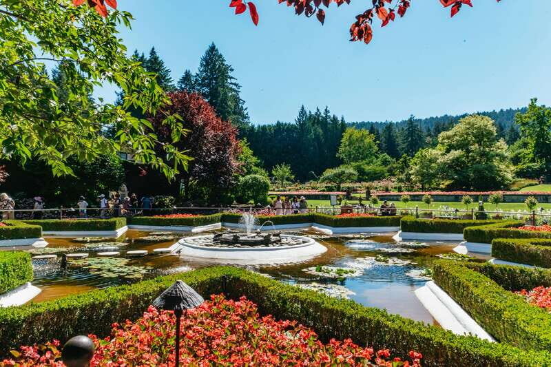 Vancouver: Victoria, Gulf Islands Cruise, & Butchart Gardens - Ferry Ride Through the Georgia Strait: Your Wildlife and Photo Window
