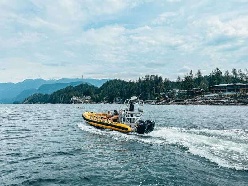 Vancouver: Waterfront Sightseeing Tour - City and Nature - Burrard Inlet and Lighthouse Park: Where Seal Sightings Start to Feel Real