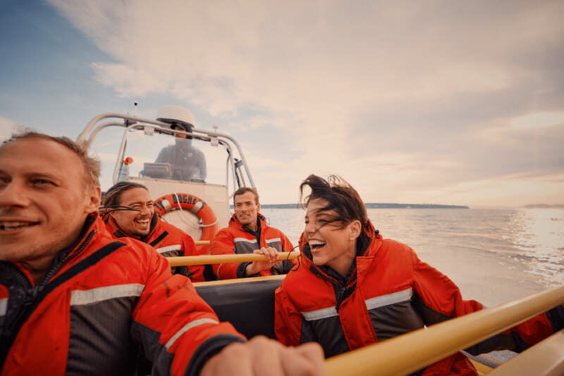 Vancouver: Waterfront Sightseeing Tour - City and Nature - Wildlife Odds: Seals, Eagles, and Even Whale Encounters
