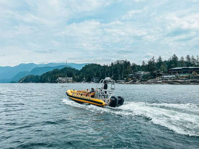 Vancouver: Waterfront Sightseeing Tour - City and Nature - Getting On Board at Granville Island: Meeting Point and Timing