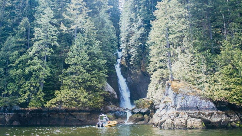 Vancouver: Waterfront Sightseeing Tour - City and Waterfall - Guides, speed, and the free photo package that actually helps