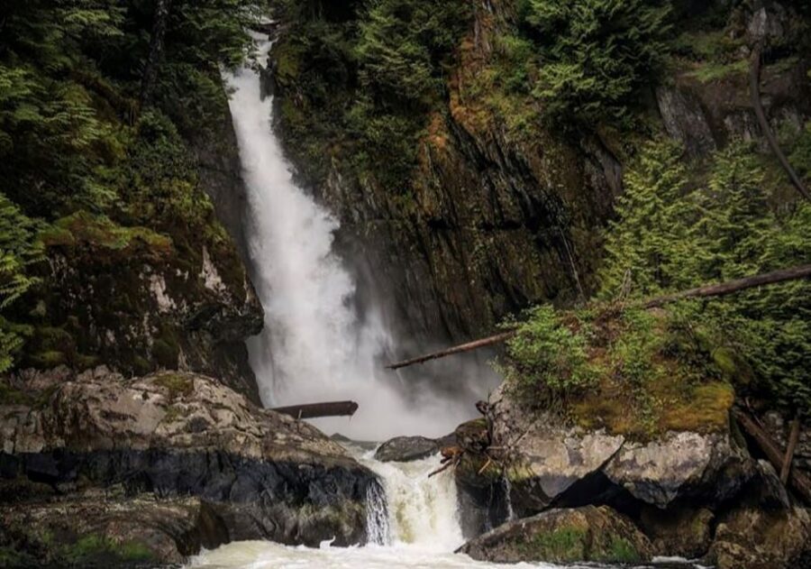 Vancouver: Waterfront Sightseeing Tour - City and Waterfall - Price and value: what $130 buys you in 3 hours