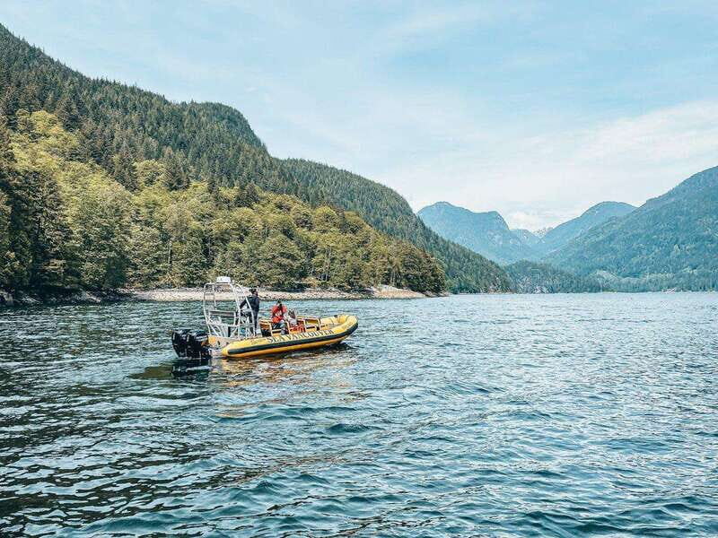 Vancouver: Waterfront Sightseeing Tour - City and Waterfall - Who this tour suits best (and who should skip it)
