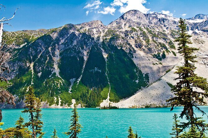 Vancouver: Whistler, Shannon Falls, Peak to Peak Gondola Day Tour - Price and Value: What $95 Covers (and What Doesn’t)