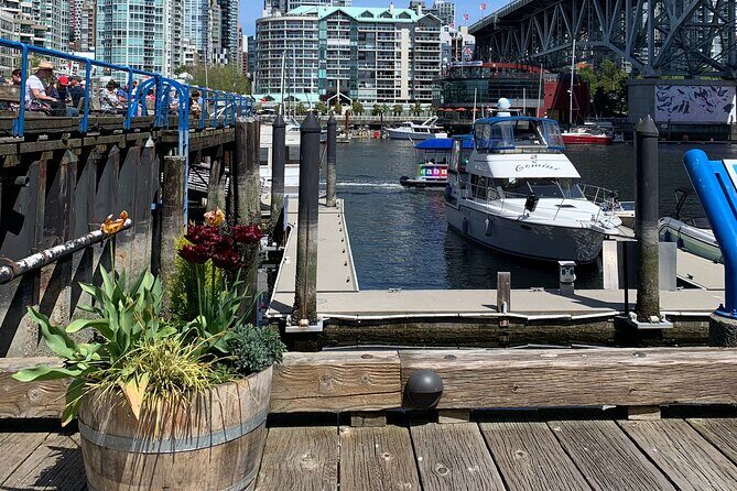 Vancouver's Finest Private Sightseeing Tour - Grouse Mountain for any season: wildlife refuge and big viewpoints