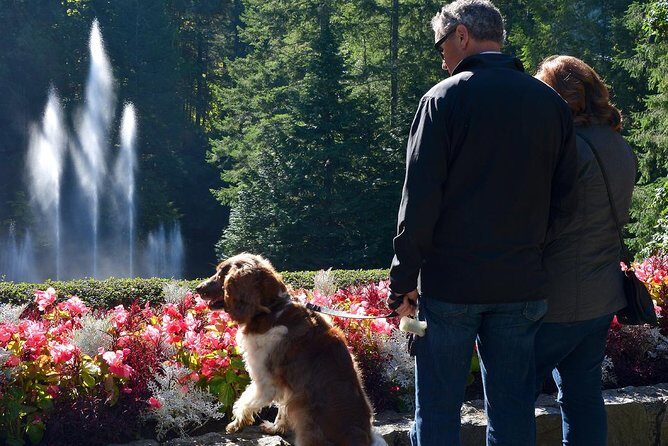 Victoria & Butchart Gardens Tour with Gulf Islands Cruise Ferry - The BC Ferries Crossing: Gulf Islands Views You Can Actually Use